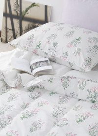 이미지를 찾을 수 없습니다.