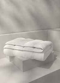 이미지를 찾을 수 없습니다.