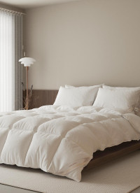 이미지를 찾을 수 없습니다.