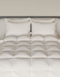 이미지를 찾을 수 없습니다.