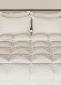 이미지를 찾을 수 없습니다.