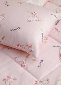 이미지를 찾을 수 없습니다.