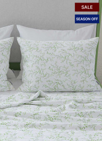 이미지를 찾을 수 없습니다.