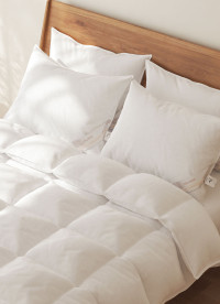 이미지를 찾을 수 없습니다.