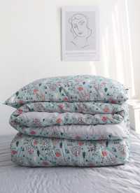 이미지를 찾을 수 없습니다.