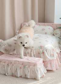 이미지를 찾을 수 없습니다.