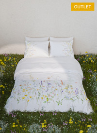 이미지를 찾을 수 없습니다.