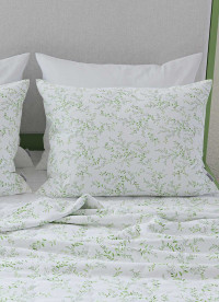 이미지를 찾을 수 없습니다.