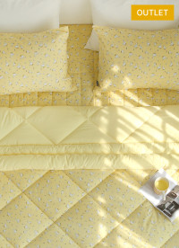 이미지를 찾을 수 없습니다.