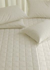 이미지를 찾을 수 없습니다.