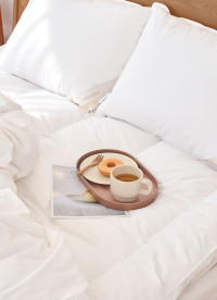 이미지를 찾을 수 없습니다.