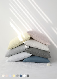 이미지를 찾을 수 없습니다.