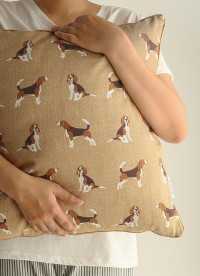 이미지를 찾을 수 없습니다.