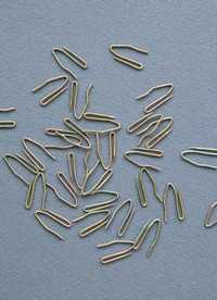 이미지를 찾을 수 없습니다.