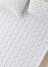 이미지를 찾을 수 없습니다.