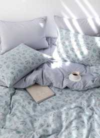 이미지를 찾을 수 없습니다.