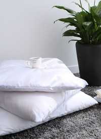 이미지를 찾을 수 없습니다.