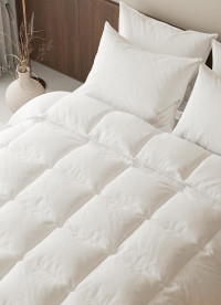 이미지를 찾을 수 없습니다.