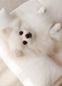 이미지를 찾을 수 없습니다.