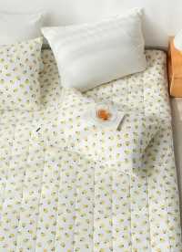 이미지를 찾을 수 없습니다.