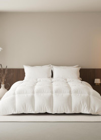 이미지를 찾을 수 없습니다.