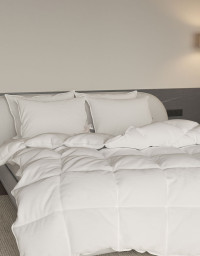 이미지를 찾을 수 없습니다.