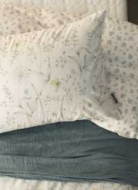 이미지를 찾을 수 없습니다.