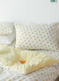 이미지를 찾을 수 없습니다.