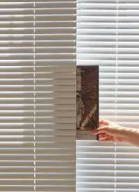 이미지를 찾을 수 없습니다.