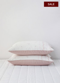 이미지를 찾을 수 없습니다.