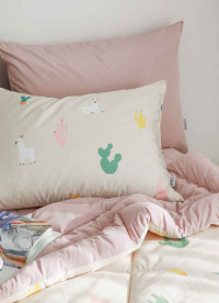 이미지를 찾을 수 없습니다.