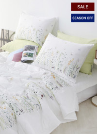 이미지를 찾을 수 없습니다.