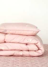 이미지를 찾을 수 없습니다.