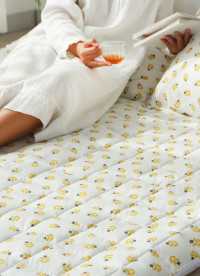 이미지를 찾을 수 없습니다.