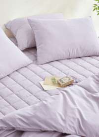 이미지를 찾을 수 없습니다.