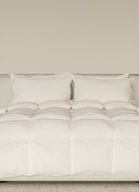 이미지를 찾을 수 없습니다.