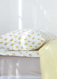 이미지를 찾을 수 없습니다.