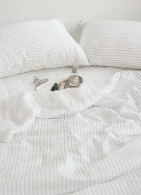 이미지를 찾을 수 없습니다.