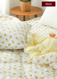 이미지를 찾을 수 없습니다.