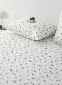 이미지를 찾을 수 없습니다.