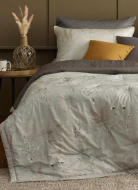 이미지를 찾을 수 없습니다.