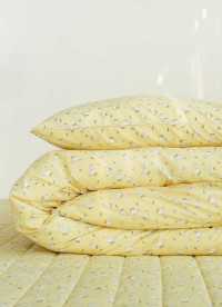 이미지를 찾을 수 없습니다.