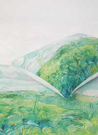 이미지를 찾을 수 없습니다.