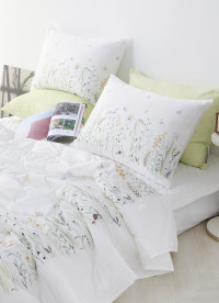 이미지를 찾을 수 없습니다.