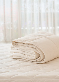 이미지를 찾을 수 없습니다.