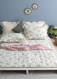 이미지를 찾을 수 없습니다.