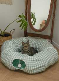 이미지를 찾을 수 없습니다.