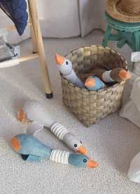 이미지를 찾을 수 없습니다.