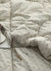 이미지를 찾을 수 없습니다.