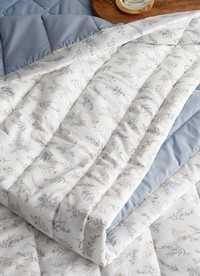 이미지를 찾을 수 없습니다.